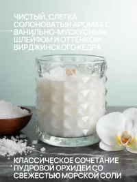 Ароматическая соевая свеча ручной работы Морская соль и Орхидея