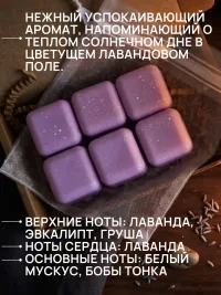 Аромасаше мелтс для шкафа ручной работы (несколько ароматов на выбор)