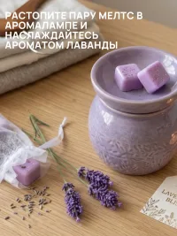 Аромасаше мелтс для шкафа ручной работы (несколько ароматов на выбор)