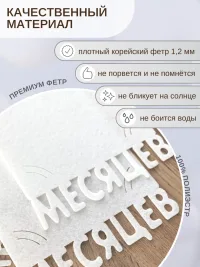 Гирлянда-растяжка "РАМКИ 12 МЕСЯЦЕВ" белая
