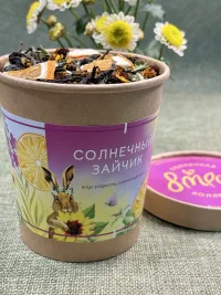 «Солнечный зайчик» сбор