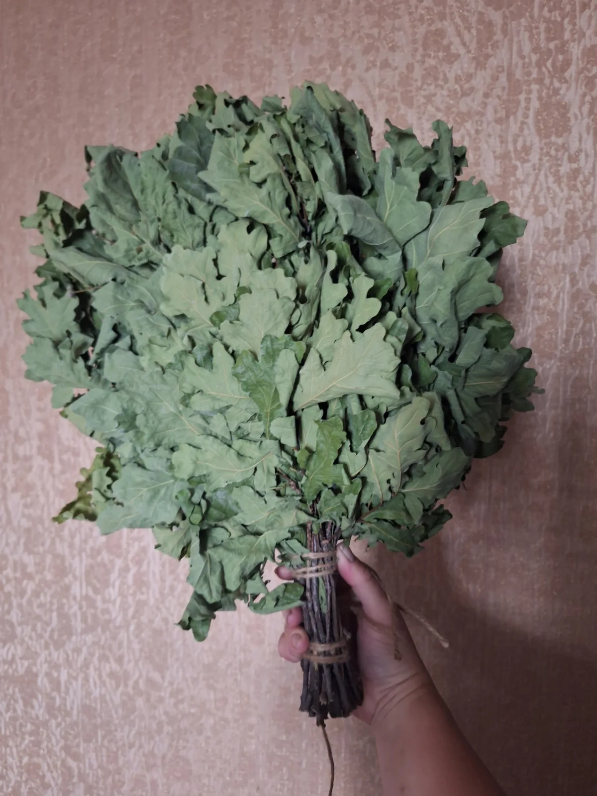 Дубовый веник