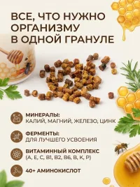 Перга пчелиная башкирская натуральная 50 грамм