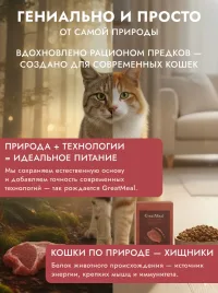 Корм сухой супер-премиум класса GREAT MEAL для кошек из ягненка и яблока, 0,1 кг