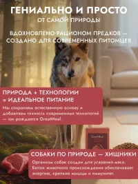 Корм сухой полнорационный GREAT MEAL для всех пород и возрастов собак из индейки с морковью, 1 кг