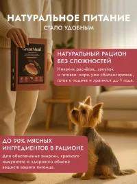 Корм сухой полнорационный GREAT MEAL для всех пород и возрастов собак из индейки с морковью, 1 кг