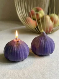 Молд Инжир