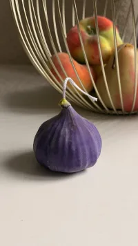 Молд Инжир