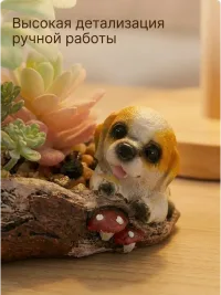 Искусственные растения