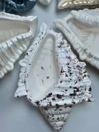 Ракушка из гипса