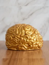 Ароматическая свеча Мозги шкатулка