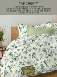 Комплект постельного белья 2 сп. "Айсберг - зеленый чай"  01697