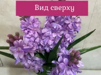 Гиацинт в горшке от "Лотос"