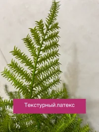Аспарагус в горшке искусственный от "Лотос"