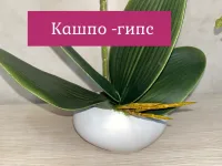 Орхидея искусственная №4 в гипсовом кашпо от Лотос