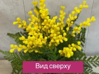 Искусственный цветок Мимоза в горшке