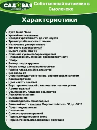 Саженцы голубики Мидер и Ханна Чойс