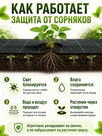 Агроткань от сорняков для грядок 100 г/м² 1,05×10 м