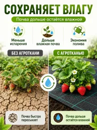 Агроткань от сорняков для грядок 100 г/м² 1,05×10 м