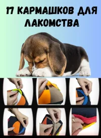 Нюхательная поисковая игрушка