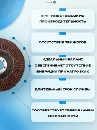 Круг лепестковый торцевой КЛТ STRONER 125х22.2 мм,  10 шт в упаковке