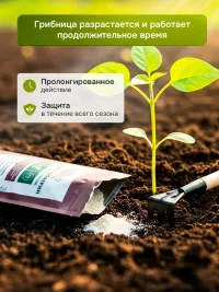 МБК 300г