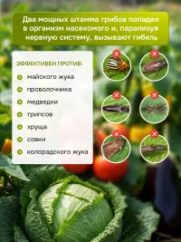 Набор Триходерма 150г + МБК 150г