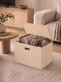 Коробки для хранения вещей BOXXESS с ДВП каркасом