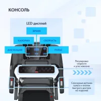Беговая дорожка Wallaby TS400