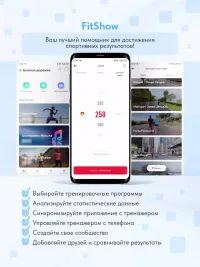 Беговая дорожка Wallaby TS350