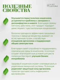 Псиллиум Залог Здоровья, 120 капсул — поддержка ЖКТ и детокс