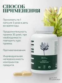 Экстракт АСТРАГАЛА Залог Здоровья, 90 капсул — для иммунитета и энергии