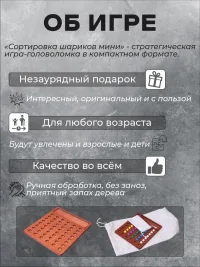 Настольная игра на логику "Сортировка шариков МИНИ"