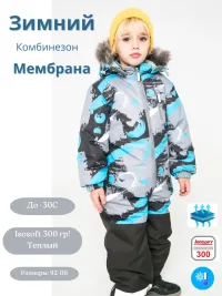 Зимний комбинезон для мальчика, мембранный, теплый, 300 грамм, до -35 мороза