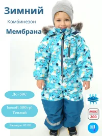 Зимний комбинезон для мальчика, мембранный, теплый, 300 грамм, до -35 мороза