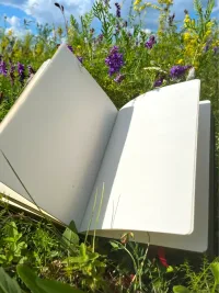 Записная книга чёрная толстая с золотым обрезом А5