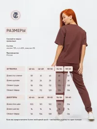 Костюм спортивный с футболкой летний оверсайз без начеса (Фасон/Фасон/коричневый)