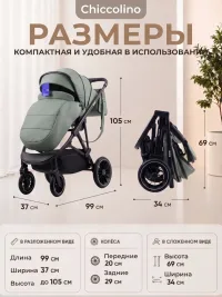Chiccolino Gold 3 в 1 зеленая