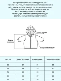 Толстовка детская, на молнии Арт. 1282/018