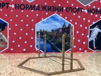 Спортивный тренажер для прыжковых упражнений