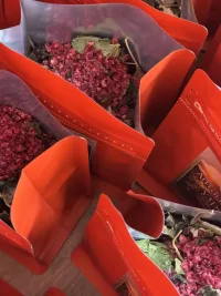 Алтайское утро