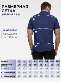 Рубашка летняя голубая с коротким рукавом хлопок