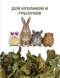 Лист ЯБЛОНИ
