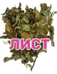 Лист ЯБЛОНИ