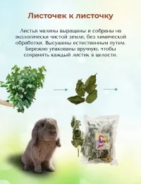 Лист МАЛИНЫ