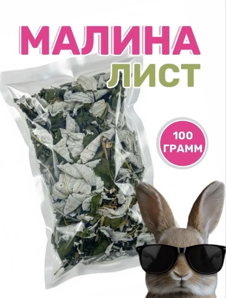 Лист МАЛИНЫ
