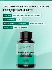 Магниевый комплекс IPSUM 4 формы магния + витамин B6 Magnesium Complex 504 мг, 120 капсул, поддержка сна и нервной системы, Dr. Dzidzariya