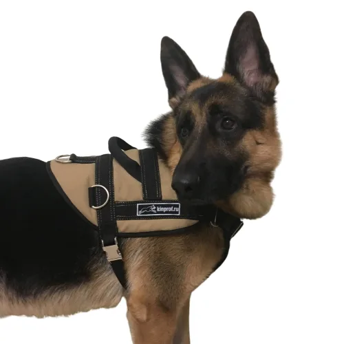 Шлейка CORDURA