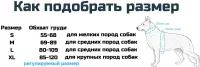Шлейка CORDURA