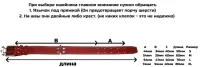 Ошейник "КИНОЛОГ" №1